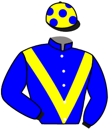 Casaque du n°3