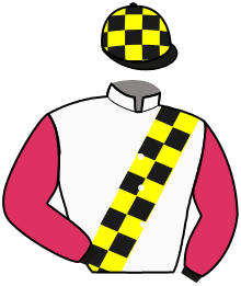 Casaque du n°3
