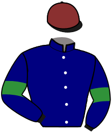 Casaque du n°10