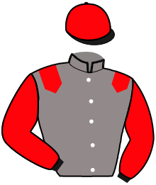 Casaque du n°2