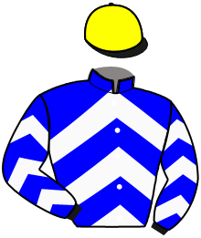 Casaque du n°7