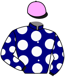 Casaque du n°1