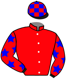 Casaque du n°6
