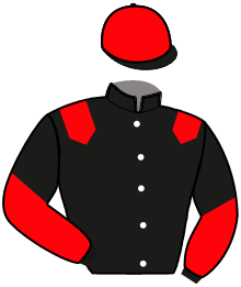 Casaque du n°10