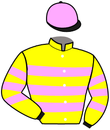 Casaque du n°5