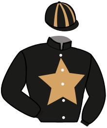 Casaque de Ecurie SANTAMARIA