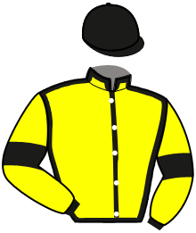 Casaque de Ecurie BRINDOR