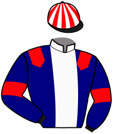 Casaque de Ecurie STAL EVENING ELEM