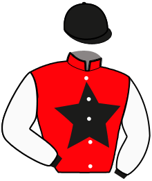 Casaque de Ecurie de la FYE