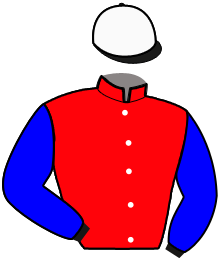 Casaque de Ecurie Thierry DUVALDESTIN