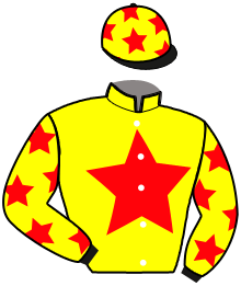 Casaque de Ecurie FIF