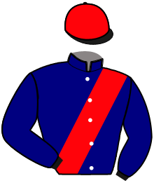 Casaque de Ecurie Jean Michel BAZIRE