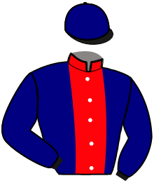 Casaque de Ecurie VICTORIA DREAMS