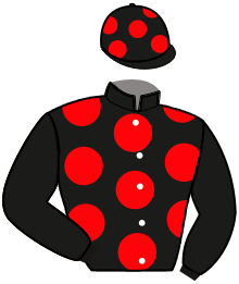 Casaque de Sébastien Pascal BLONDEAU