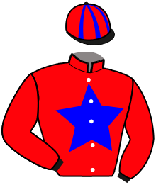 Casaque de D. HEON