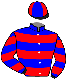 Casaque de Ecurie Jérémy ROUX