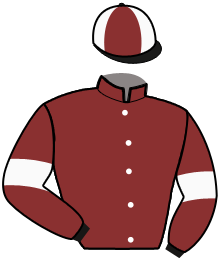 Casaque de Ecurie Sylvain MARMION