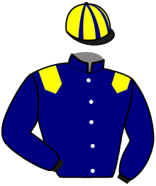 Casaque de Ecurie AB TROT
