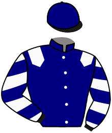 Casaque de ECURIE MESSICA