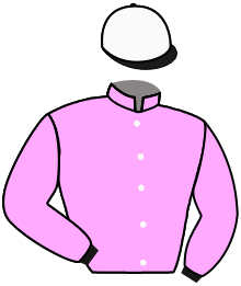 Casaque de EC.LAYANI/HOLLYMOUNT/JJ.TAIEB