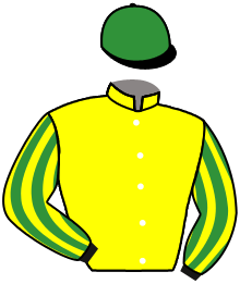 Casaque de ECURIE FORET JAUNE