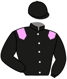 Casaque de ECURIE GRIEZMANN