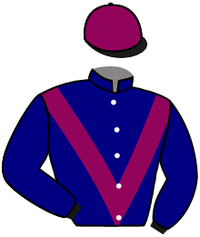 Casaque de BLU RACING