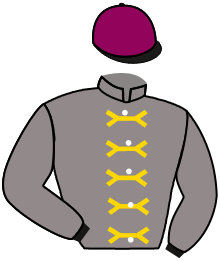 Casaque de AL SHAQAB RACING