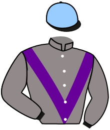 Casaque de MJ RACING