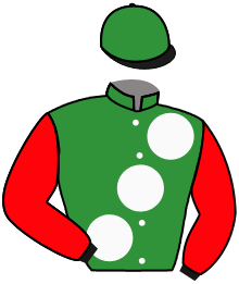 Casaque de N.D'AMATO/MARINI/TEAM HOGDALA