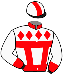Casaque de TD RACE
