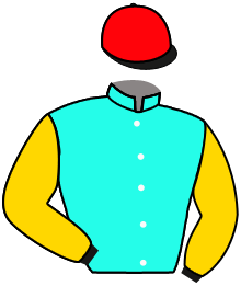 Casaque de GESTUET ROETTGEN