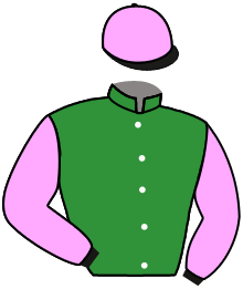 Casaque de DARIUS RACING