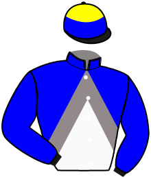 Casaque de CAPRICORN STUD