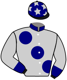 Casaque de STALL STARS & FRIENDS III