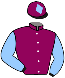 Casaque de PDS RACING