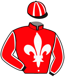 Casaque de STALL WILL