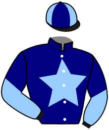 Casaque de ECURIE M. BEZIER