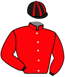 Casaque de ECURIE PHILIPPE DAUGEARD
