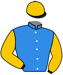 Casaque de WATHNAN RACING