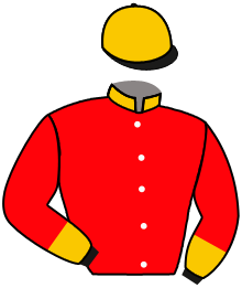 Casaque de MR MICHAEL BLENCOWE & PARTNER