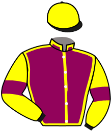 Casaque de SCUDERIA SAGAM SRLS