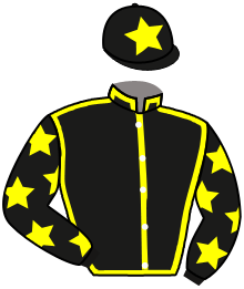 Casaque de WAYNE AND SARAH DALE AND IAN FOS