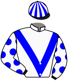 Casaque de SEVEN HEADS GROUP SYNDICATE