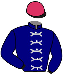 Casaque de JOHNSTONE PARTNERSHIP