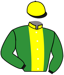 Casaque de THURLOE THOROUGHBREDS LX