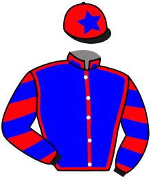 Casaque de DTA RACING