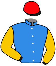 Casaque de WATHNAN RACING