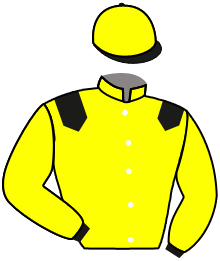 Casaque de ARM RACING