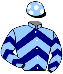 Casaque de LORD DARESBURY/EC MME J.CYPRES